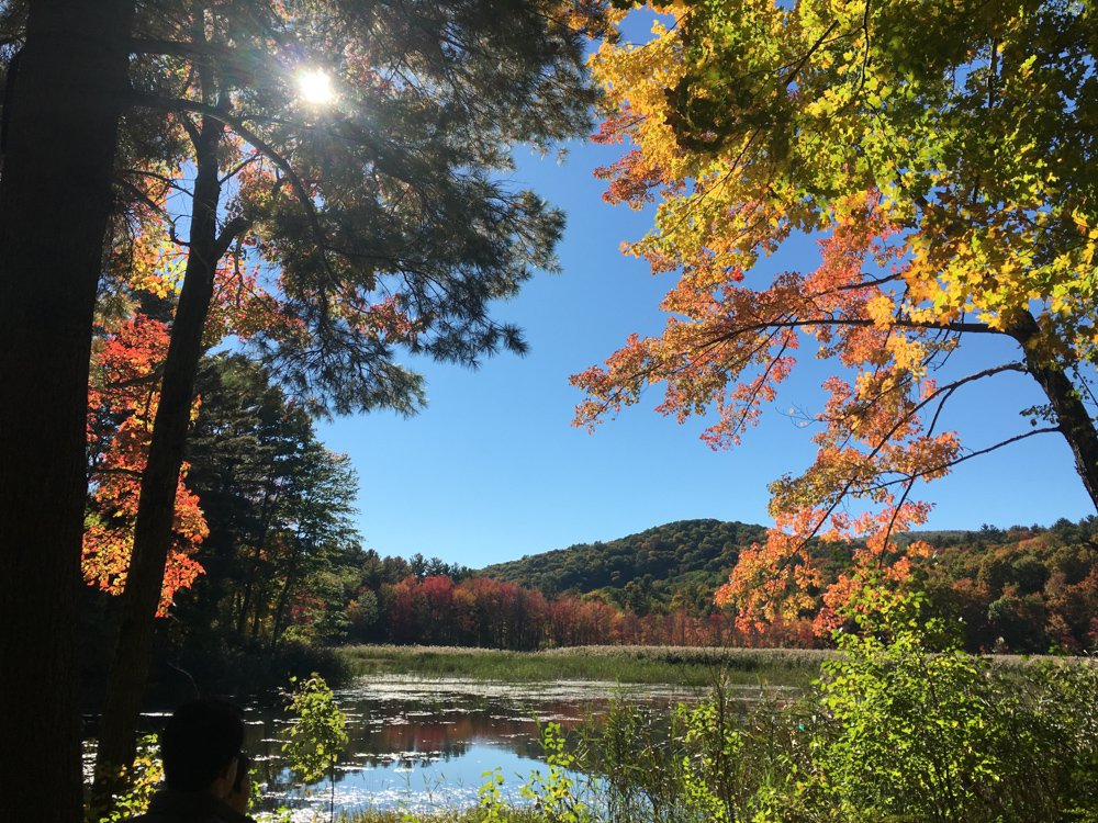 Berkshires Fall Foliage New England Fall Foliage Berkshires