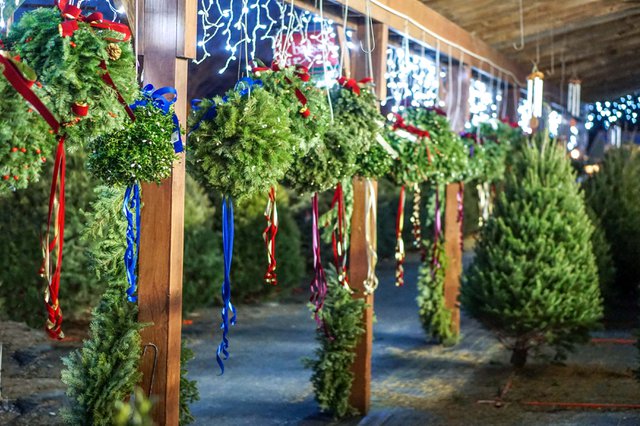 Whitneys Christmas Tree Farm Stand-4.jpg